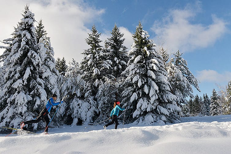 bicis Material técnico para entrenamiento, competición y mantenimiento en nieve.